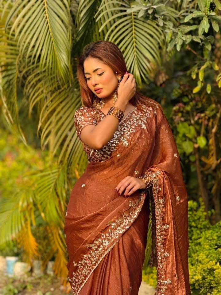 Indian Georgette Sharee with Blouse Piece